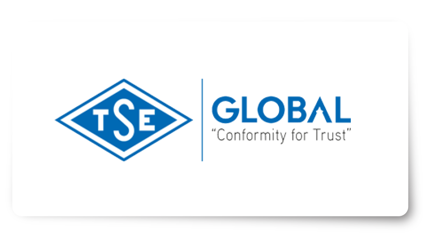 TSE Global